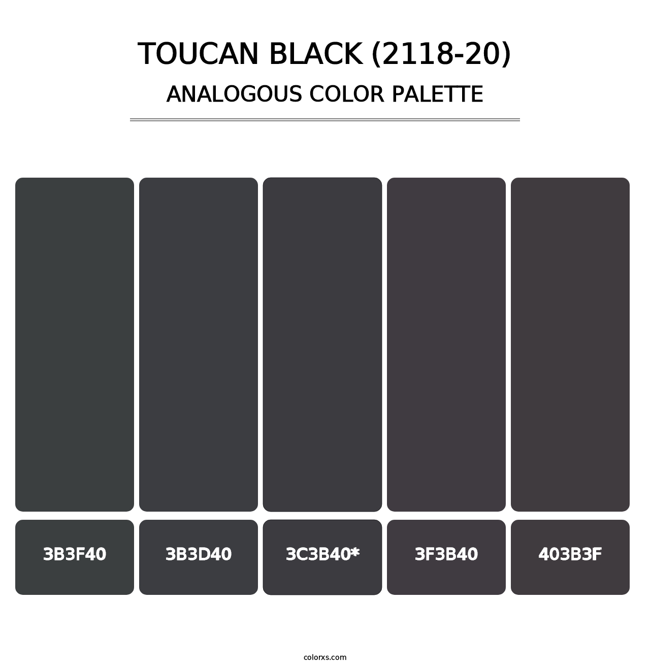 Toucan Black (2118-20) - Analogous Color Palette