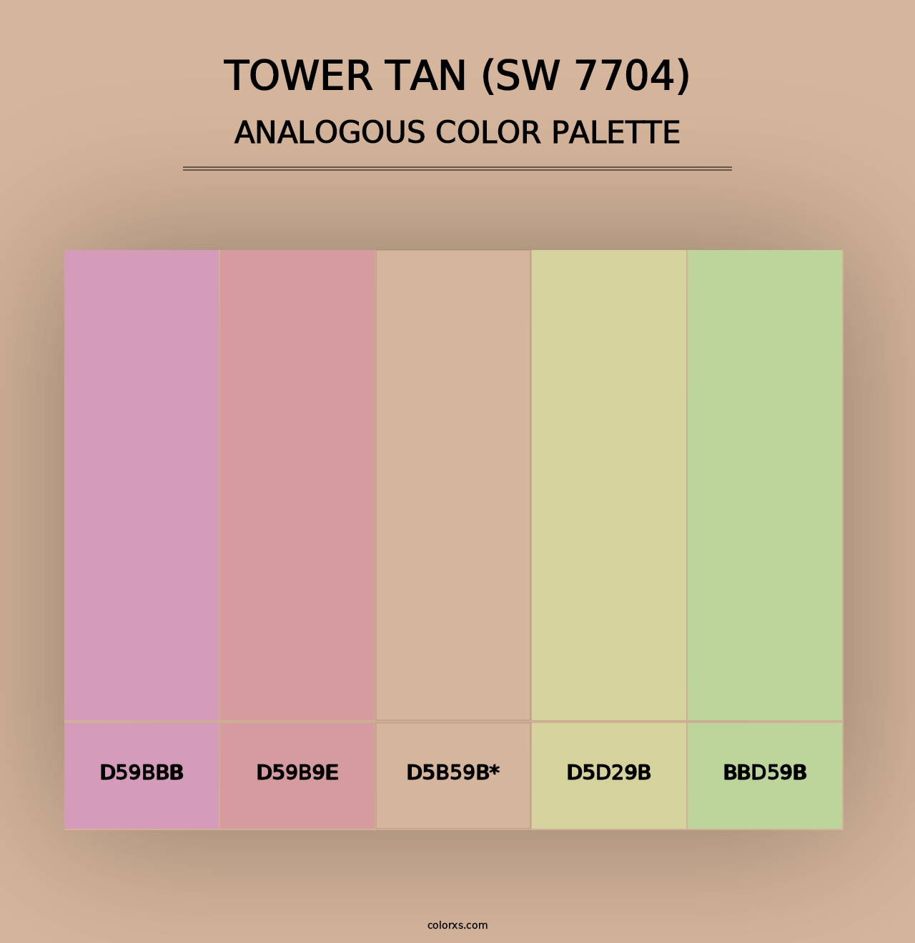 Tower Tan (SW 7704) - Analogous Color Palette