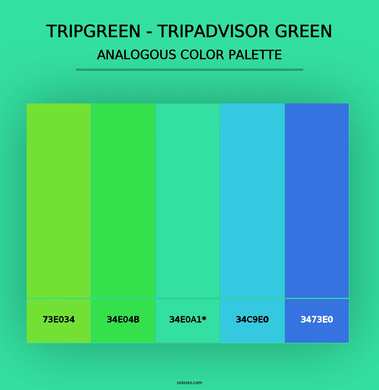 TripGreen - Tripadvisor Green - Analogous Color Palette