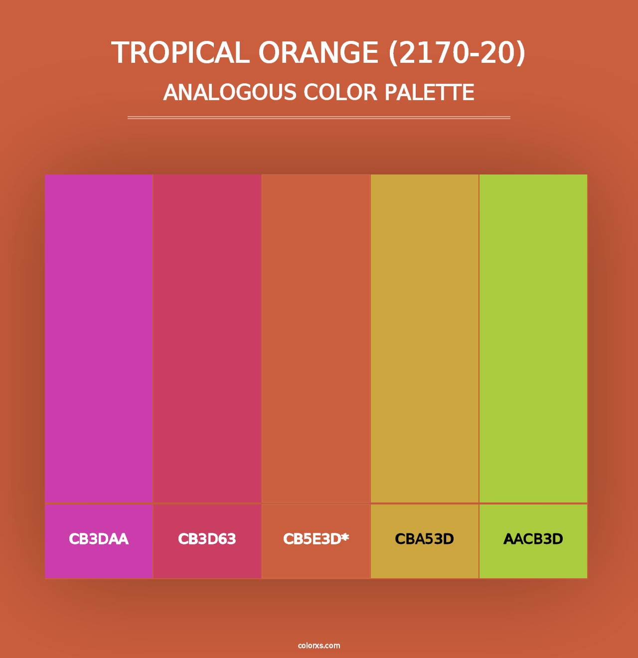 Tropical Orange (2170-20) - Analogous Color Palette