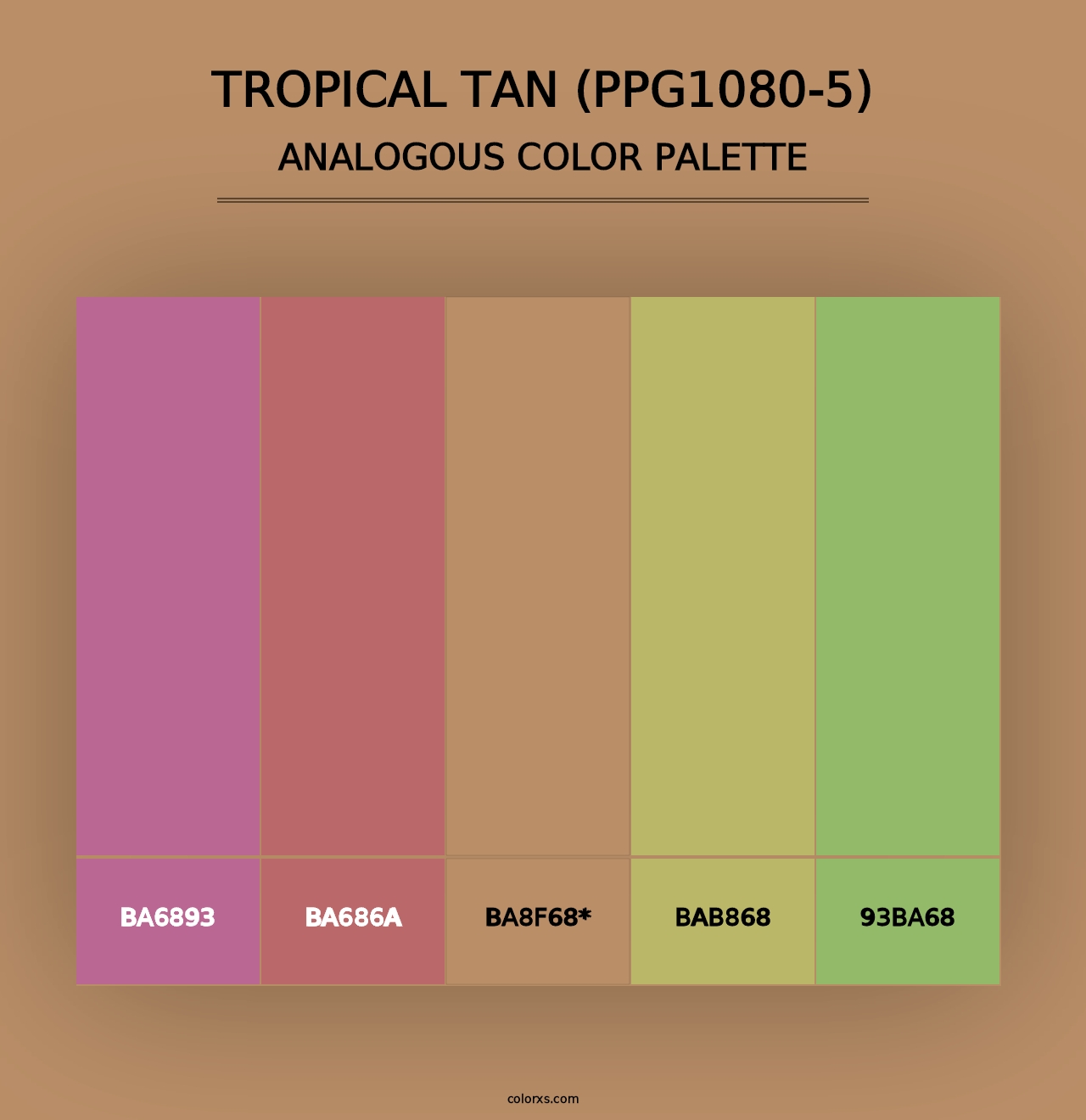 Tropical Tan (PPG1080-5) - Analogous Color Palette