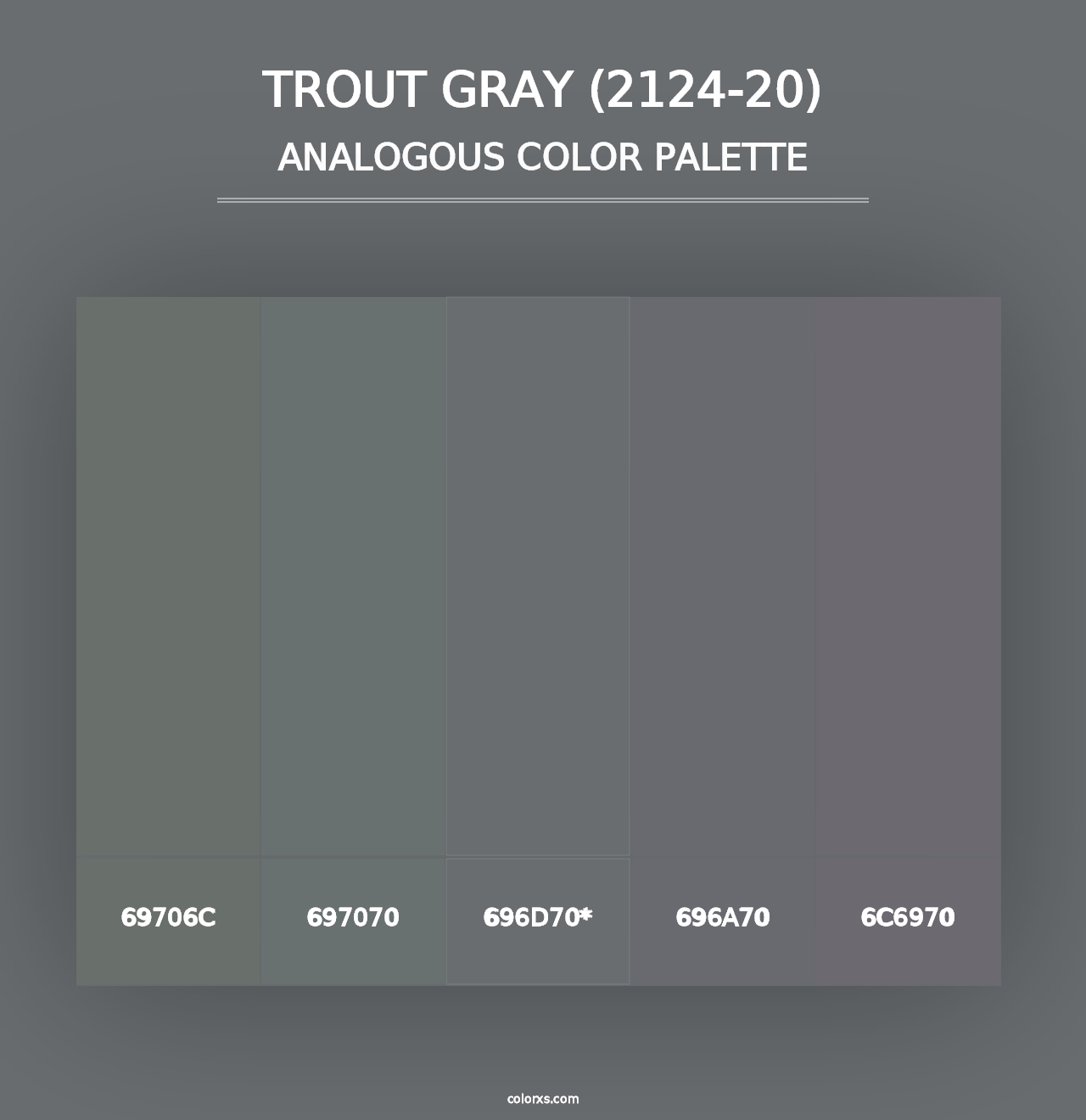 Trout Gray (2124-20) - Analogous Color Palette