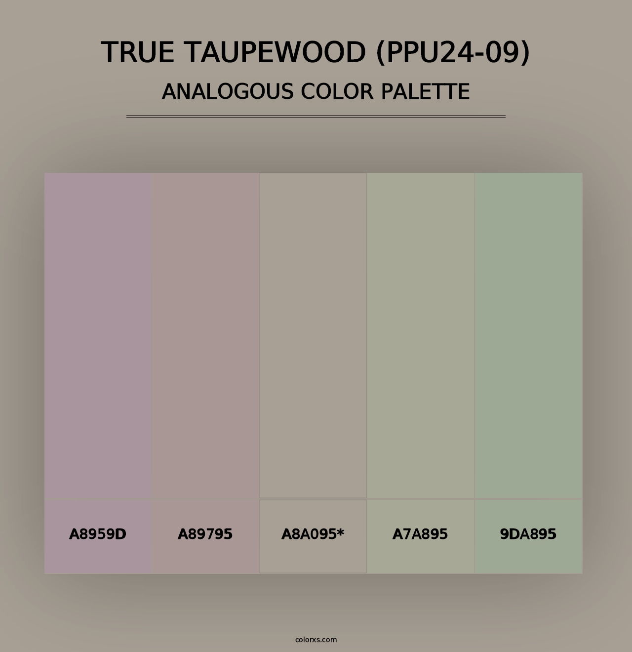 True Taupewood (PPU24-09) - Analogous Color Palette