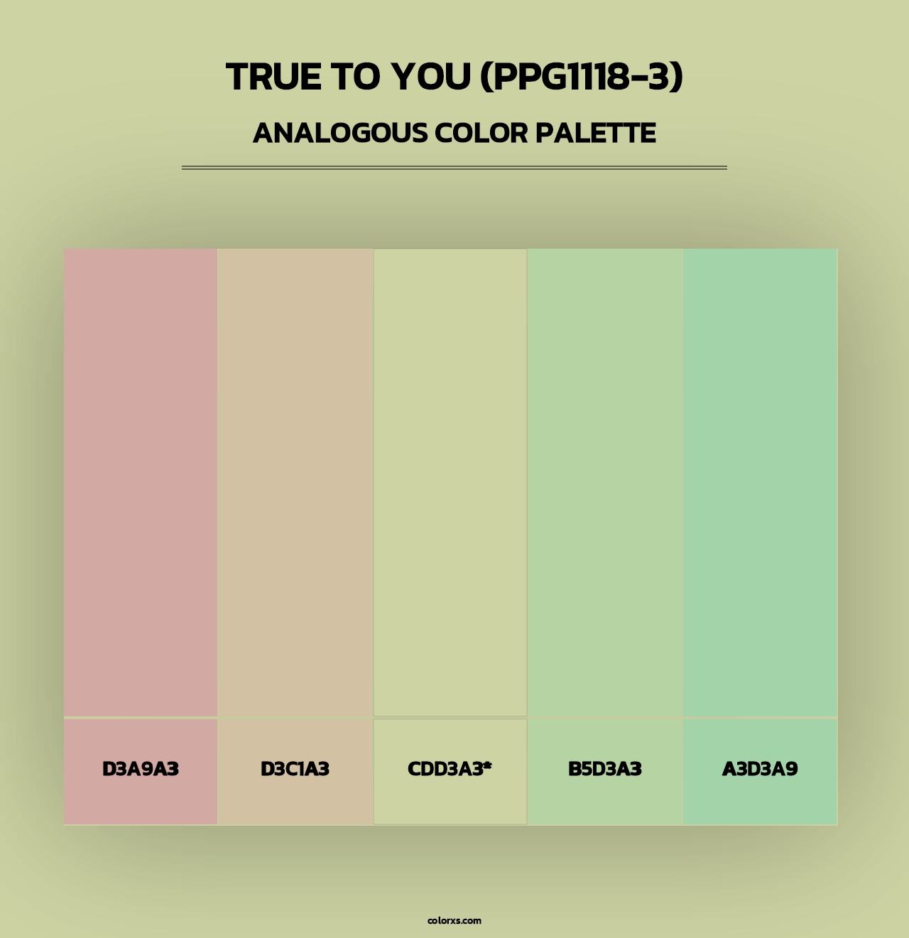 True To You (PPG1118-3) - Analogous Color Palette