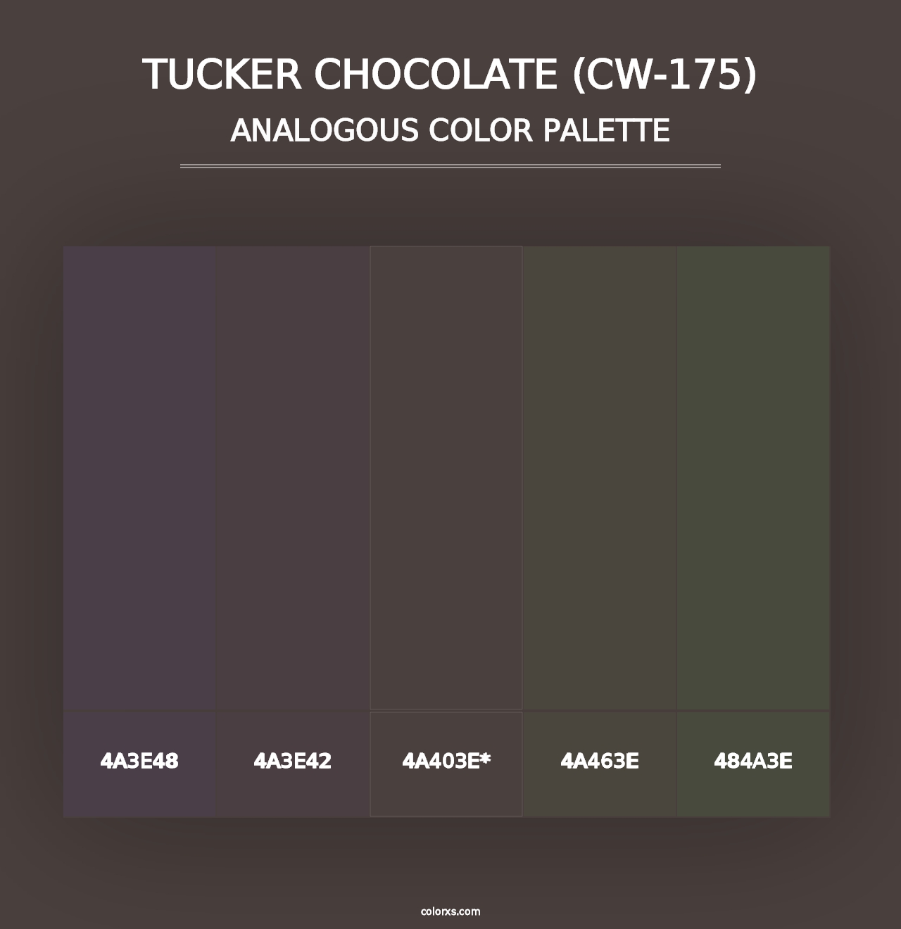 Tucker Chocolate (CW-175) - Analogous Color Palette