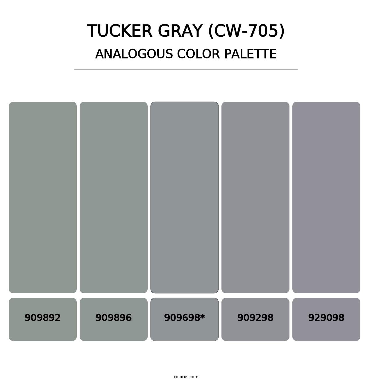 Tucker Gray (CW-705) - Analogous Color Palette