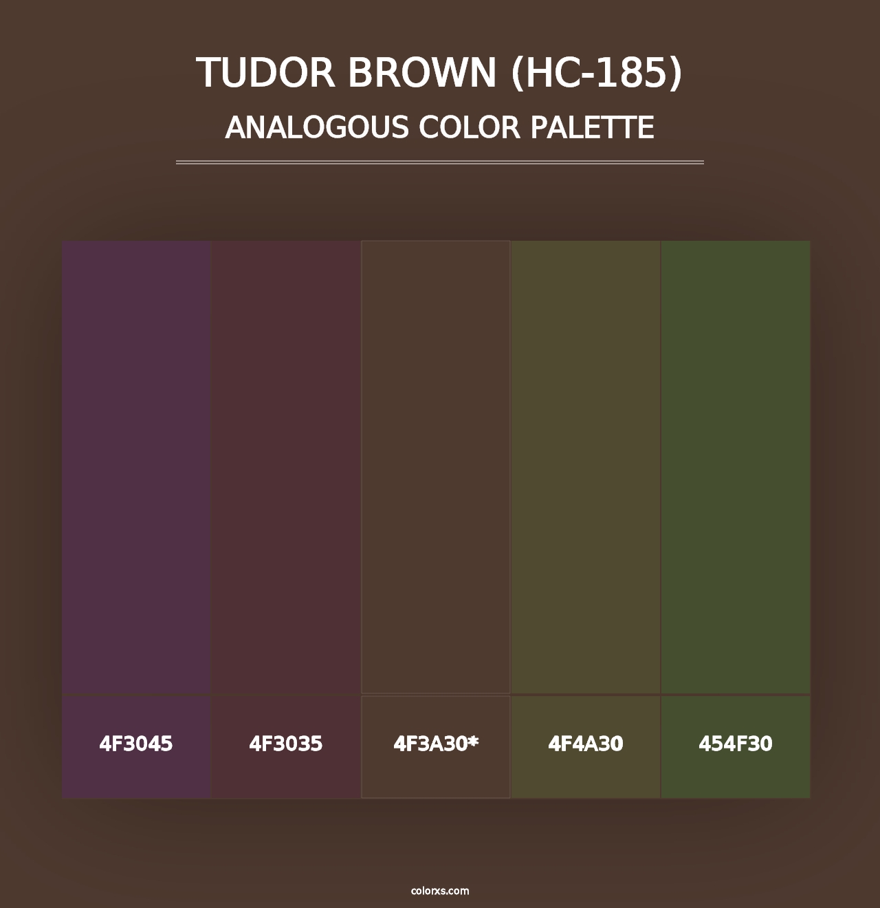 Tudor Brown (HC-185) - Analogous Color Palette