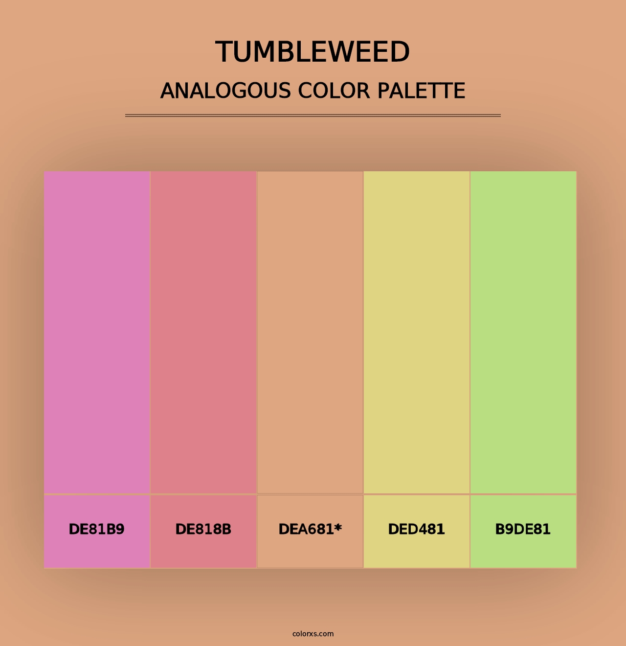 Tumbleweed - Analogous Color Palette