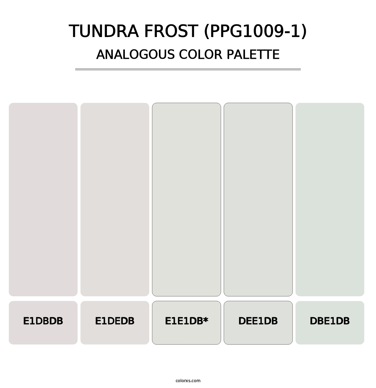 Tundra Frost (PPG1009-1) - Analogous Color Palette