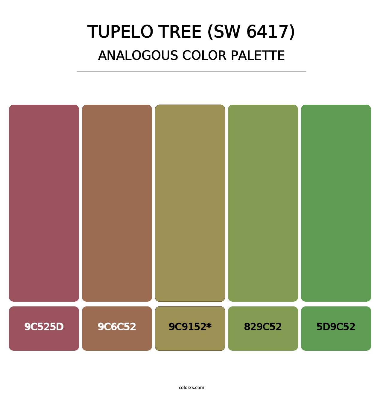 Tupelo Tree (SW 6417) - Analogous Color Palette