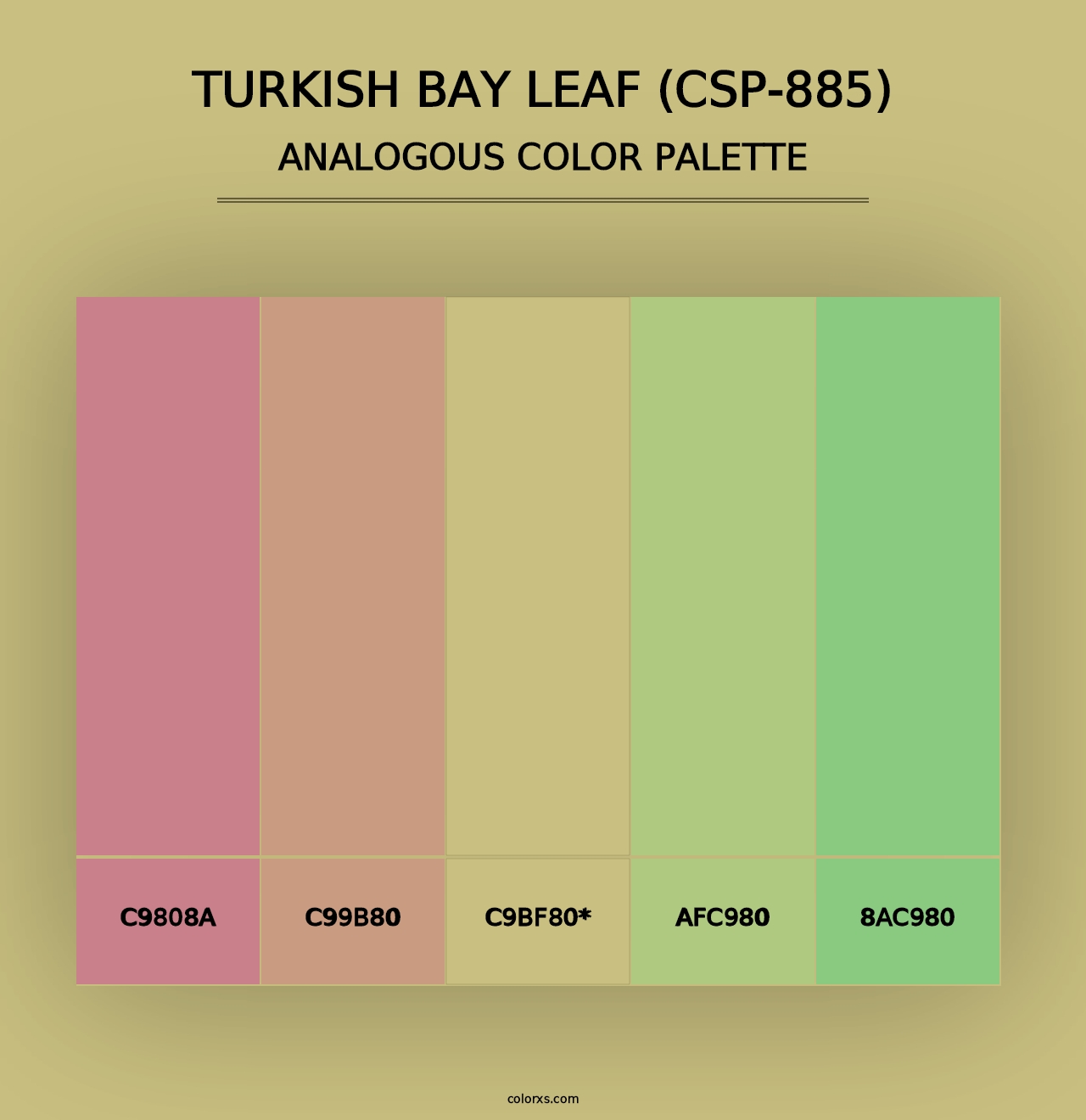 Turkish Bay Leaf (CSP-885) - Analogous Color Palette