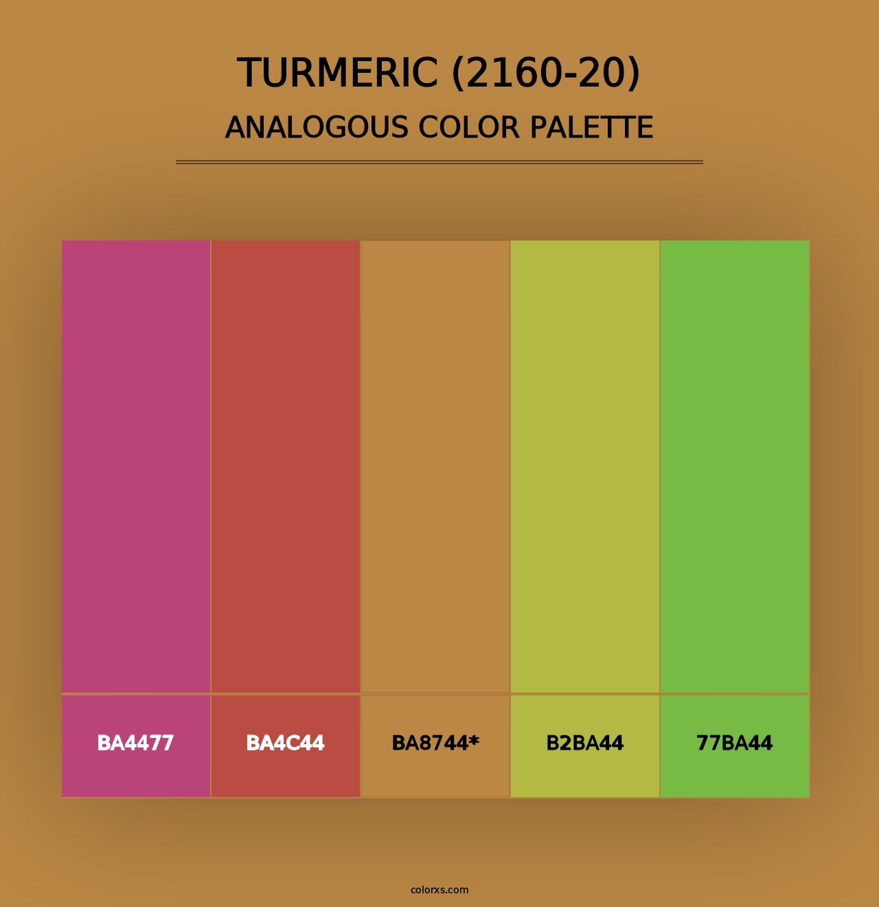 Turmeric (2160-20) - Analogous Color Palette