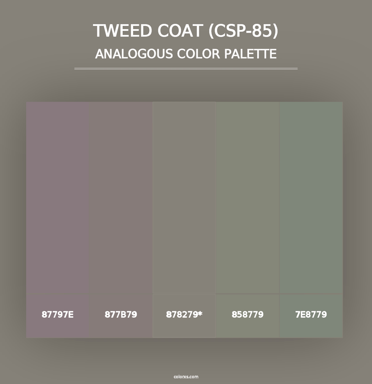 Tweed Coat (CSP-85) - Analogous Color Palette