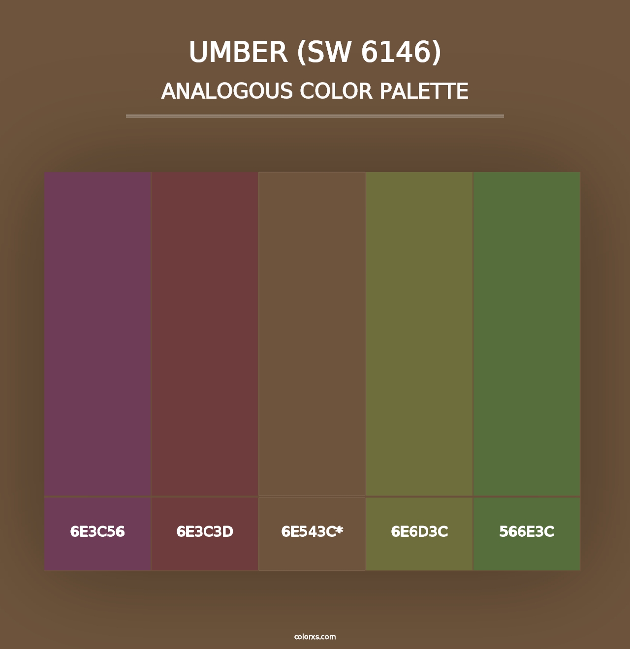 Umber (SW 6146) - Analogous Color Palette