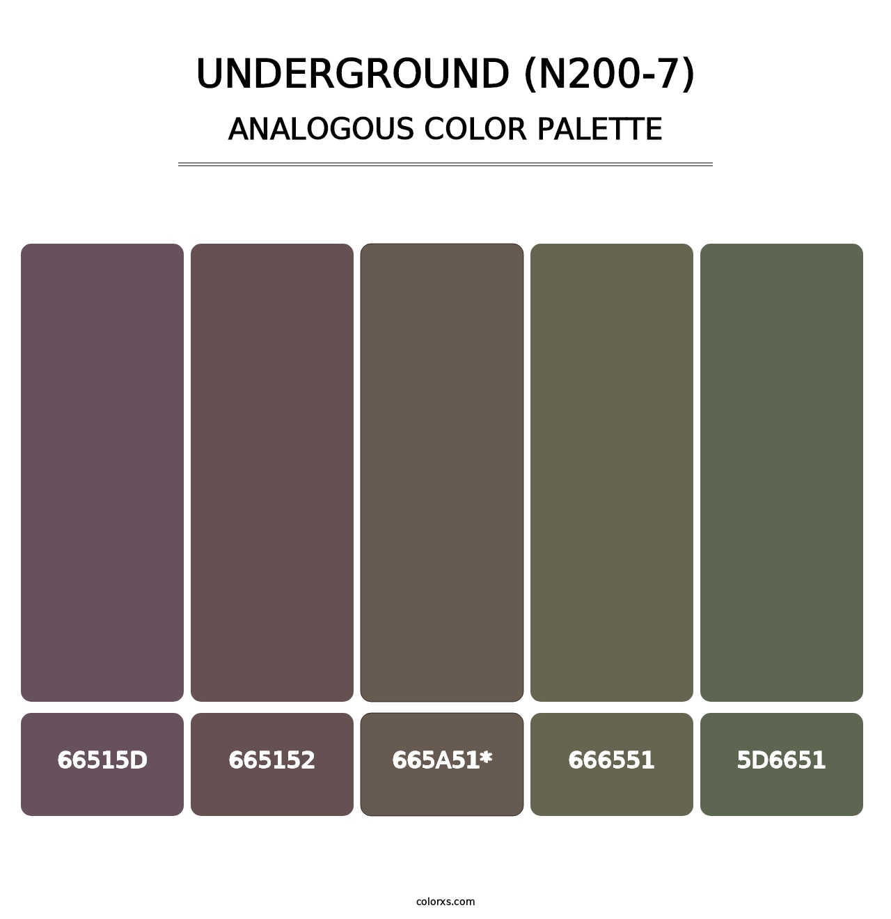 Underground (N200-7) - Analogous Color Palette