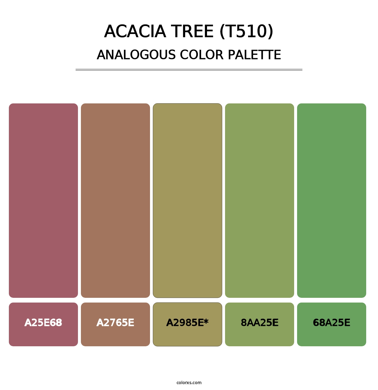 Acacia Tree (T510) - Analogous Color Palette