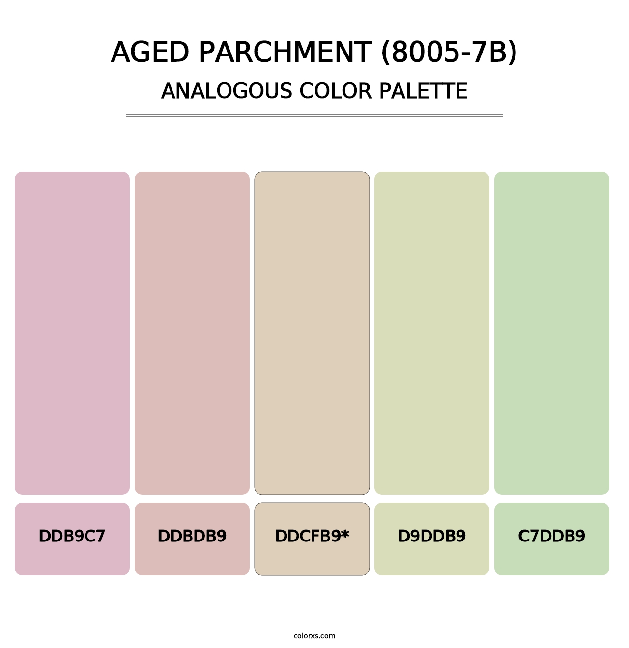 Aged Parchment (8005-7B) - Analogous Color Palette