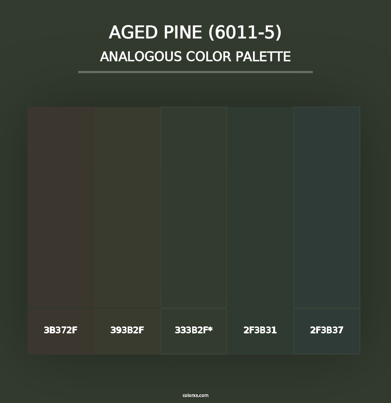 Aged Pine (6011-5) - Analogous Color Palette