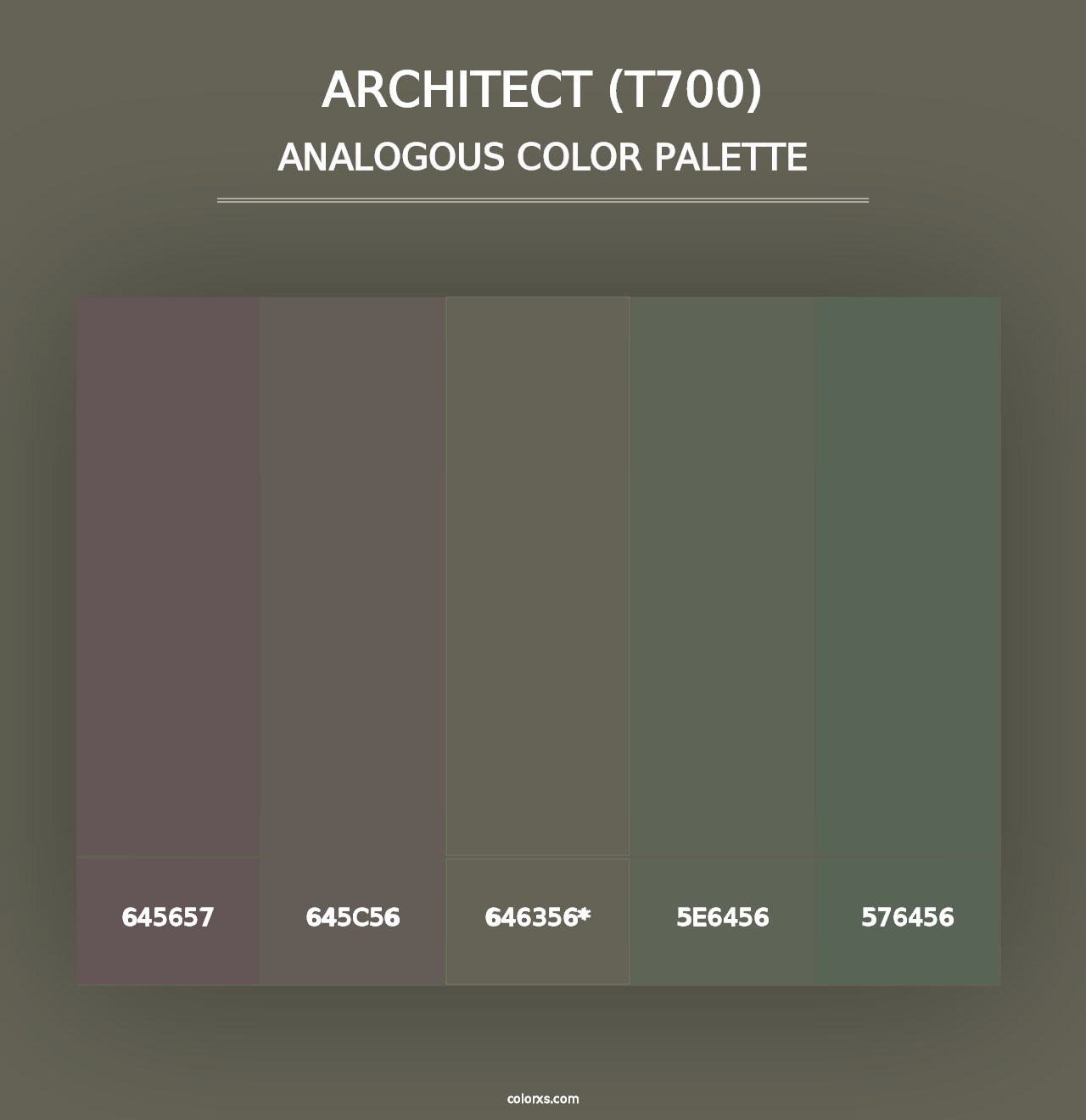 Architect (T700) - Analogous Color Palette