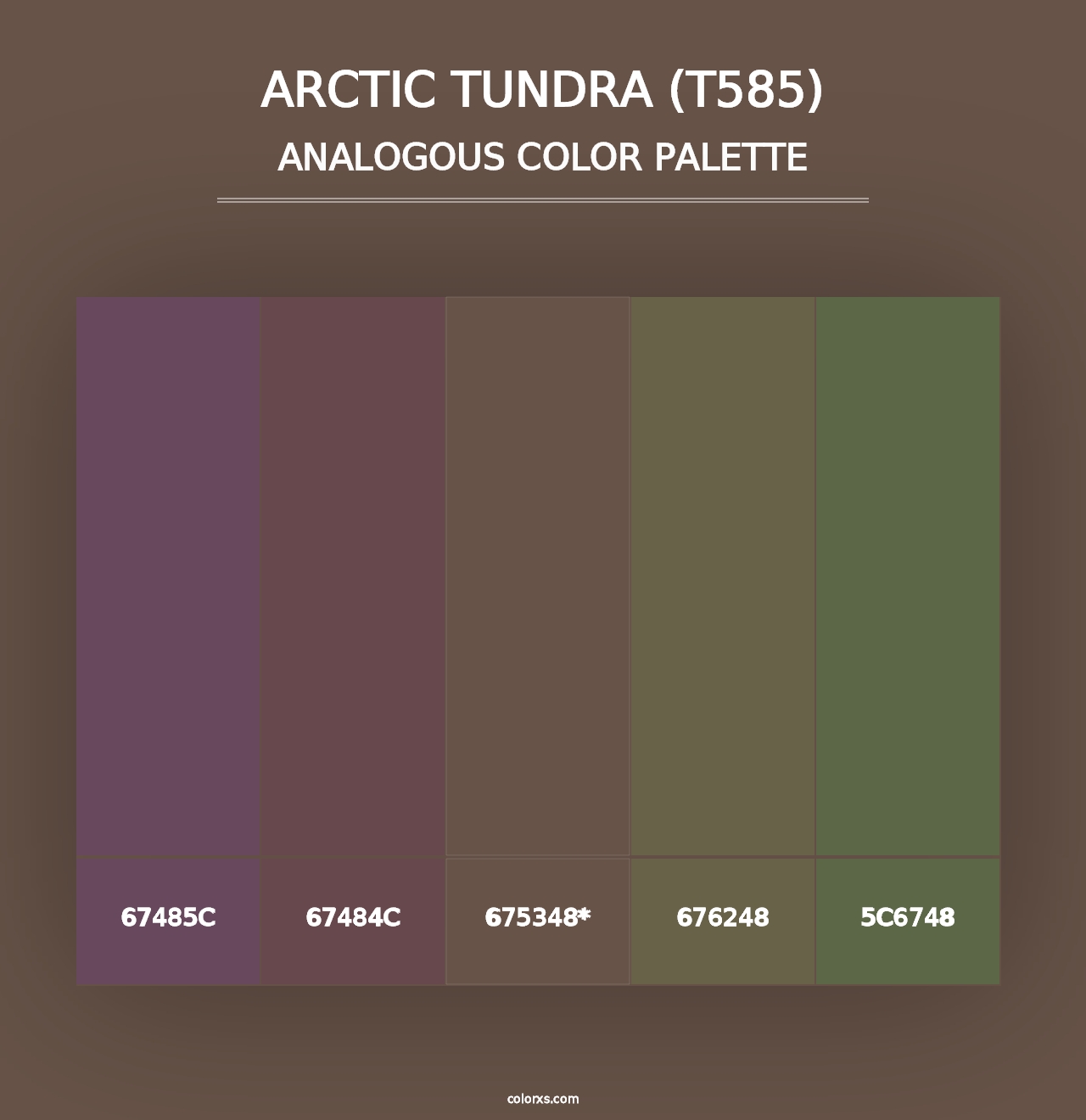 Arctic Tundra (T585) - Analogous Color Palette