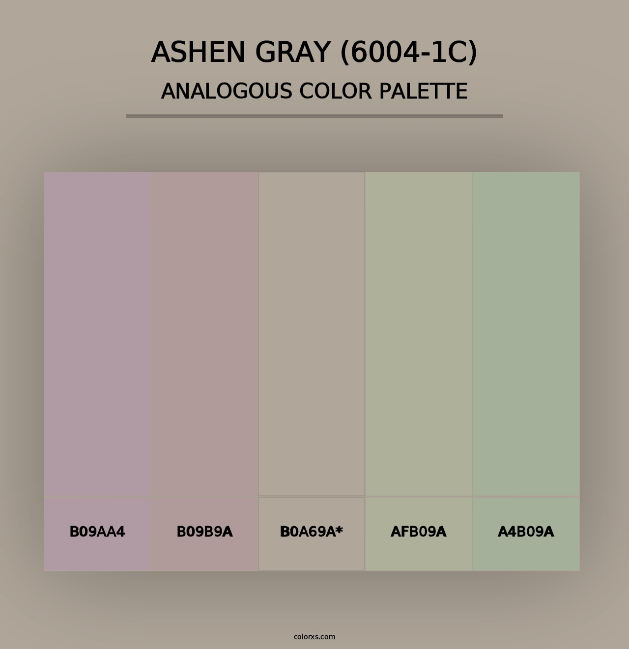 Ashen Gray (6004-1C) - Analogous Color Palette