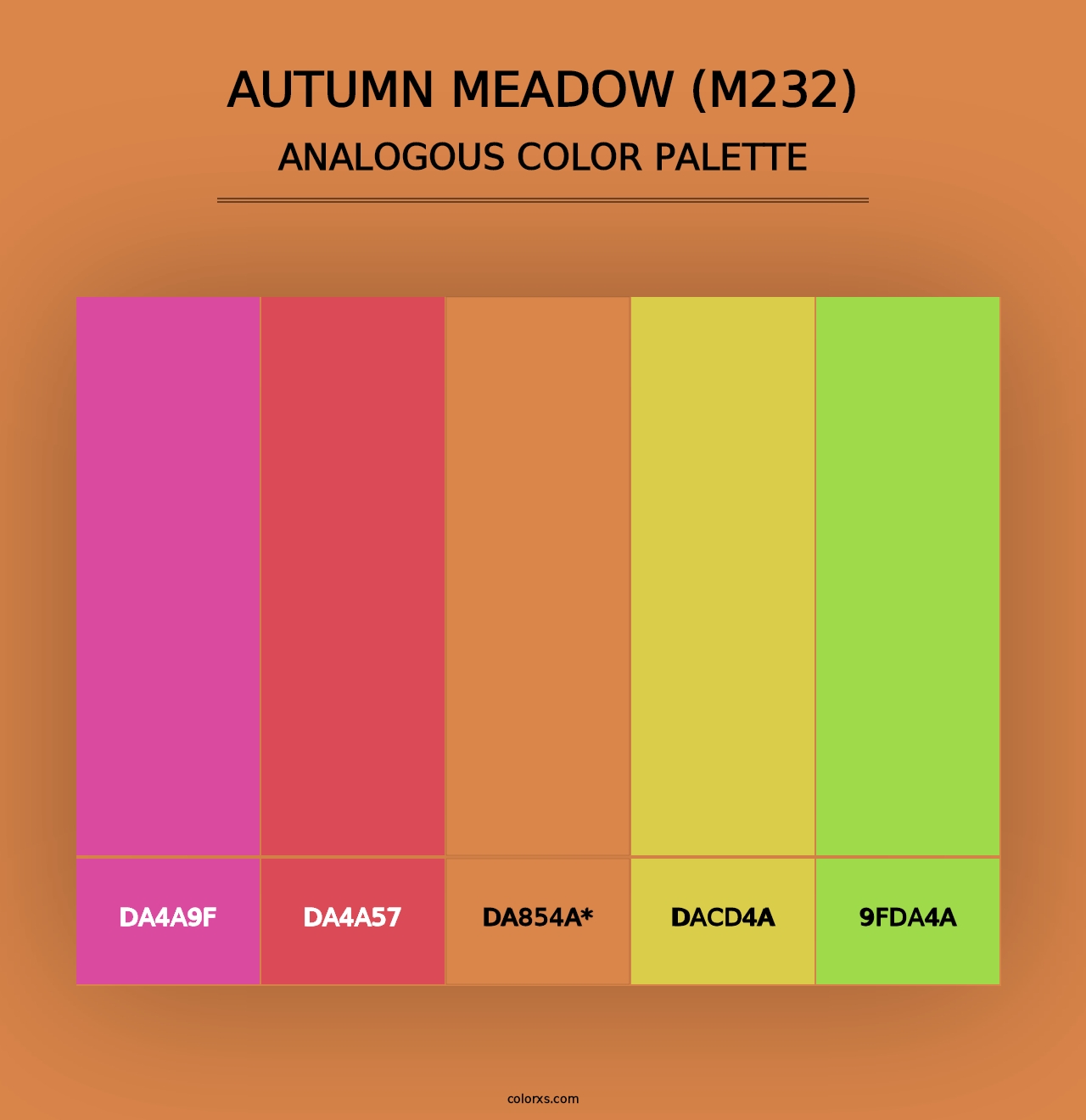 Autumn Meadow (M232) - Analogous Color Palette