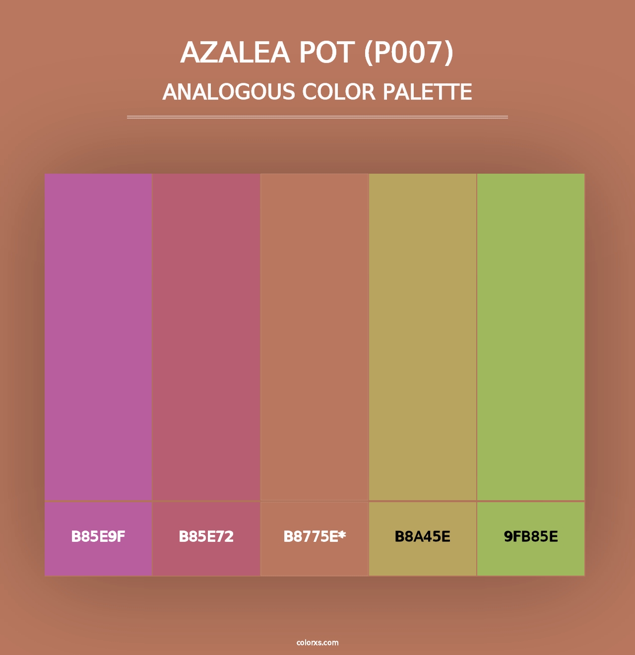 Azalea Pot (P007) - Analogous Color Palette