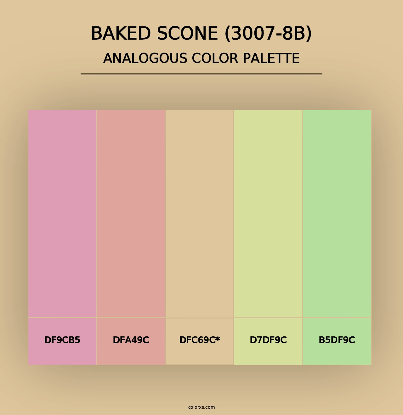 Baked Scone (3007-8B) - Analogous Color Palette