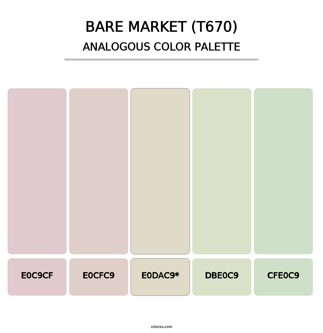 Bare Market (T670) - Analogous Color Palette