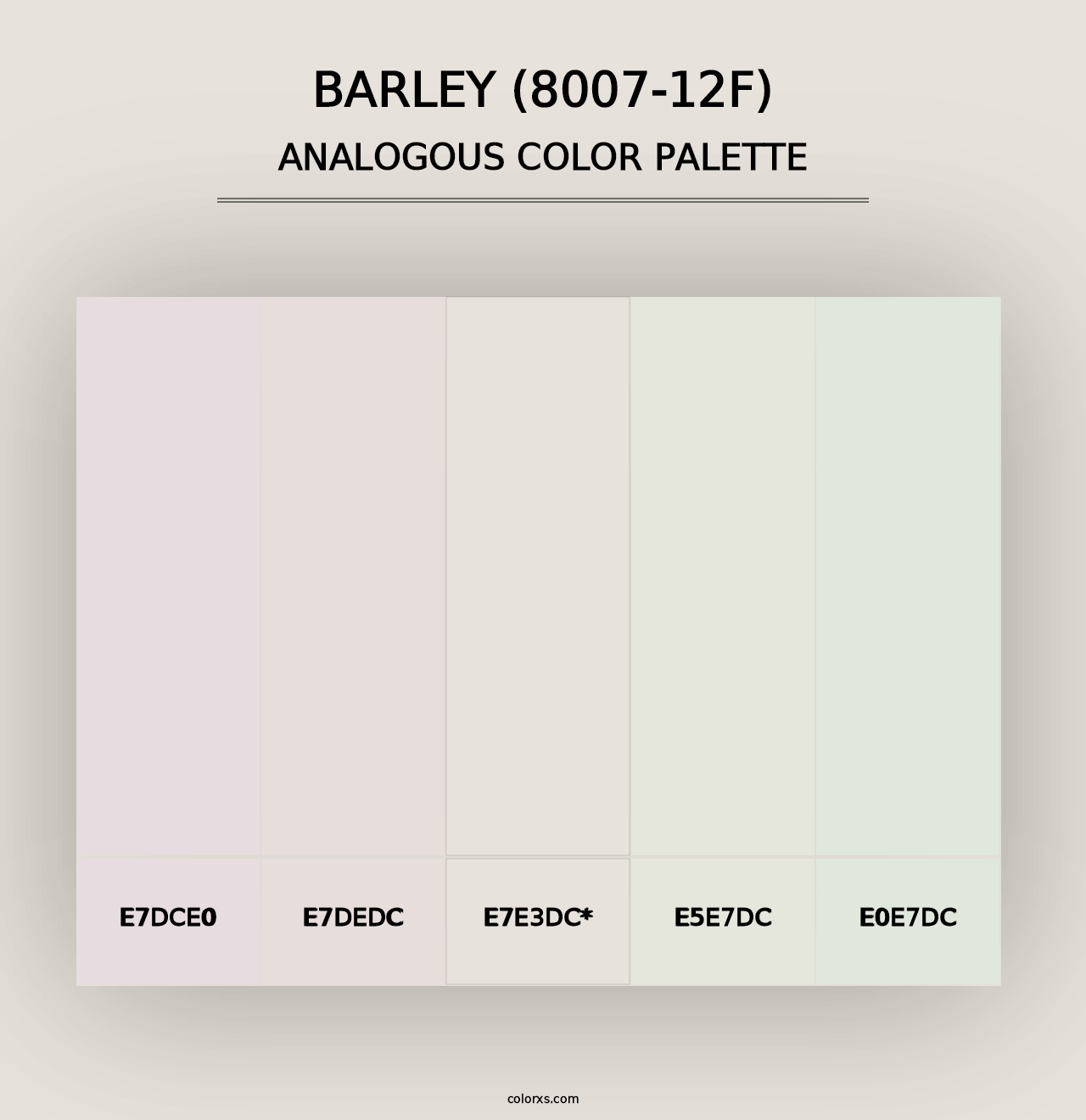 Barley (8007-12F) - Analogous Color Palette