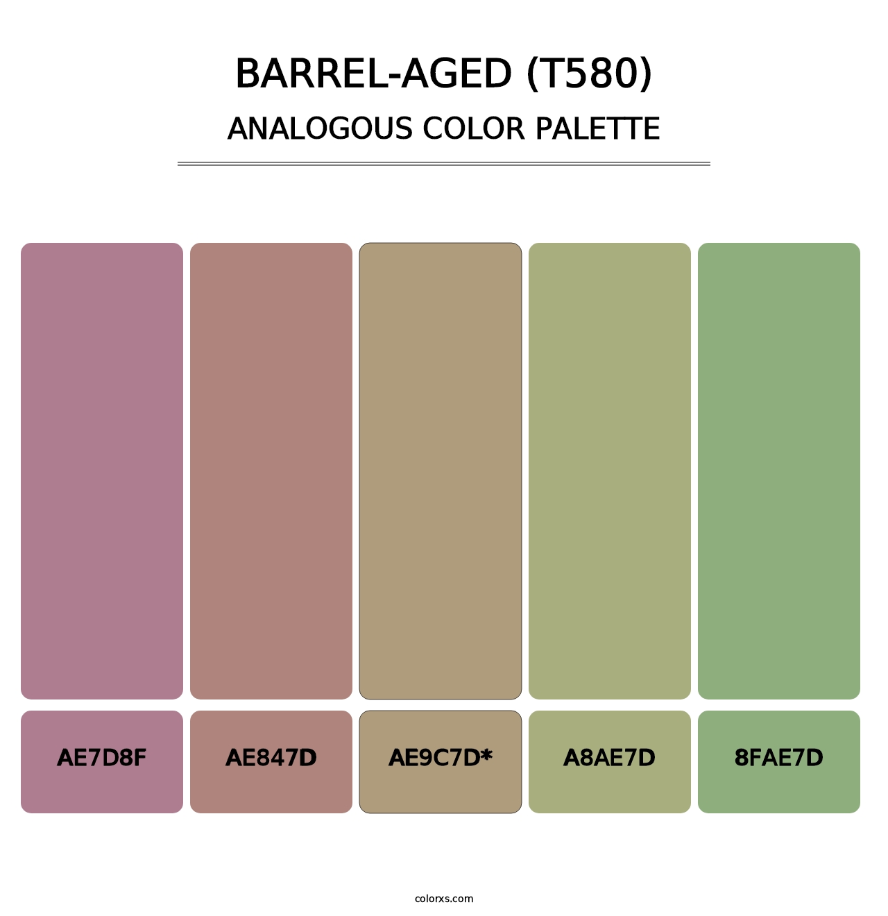 Barrel-Aged (T580) - Analogous Color Palette