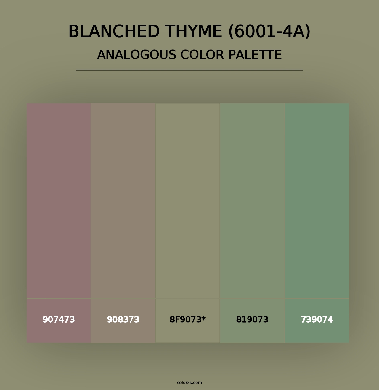 Blanched Thyme (6001-4A) - Analogous Color Palette