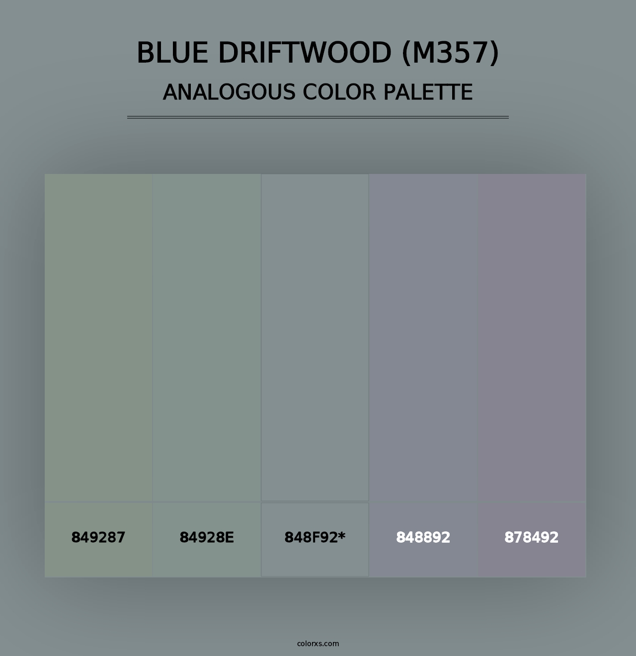 Blue Driftwood (M357) - Analogous Color Palette