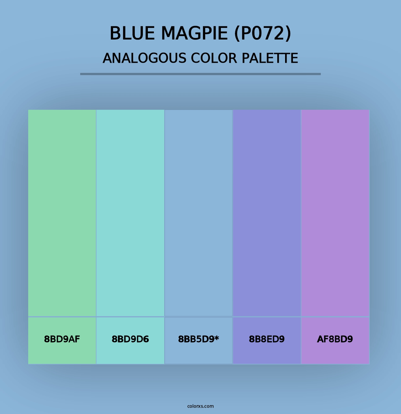 Blue Magpie (P072) - Analogous Color Palette