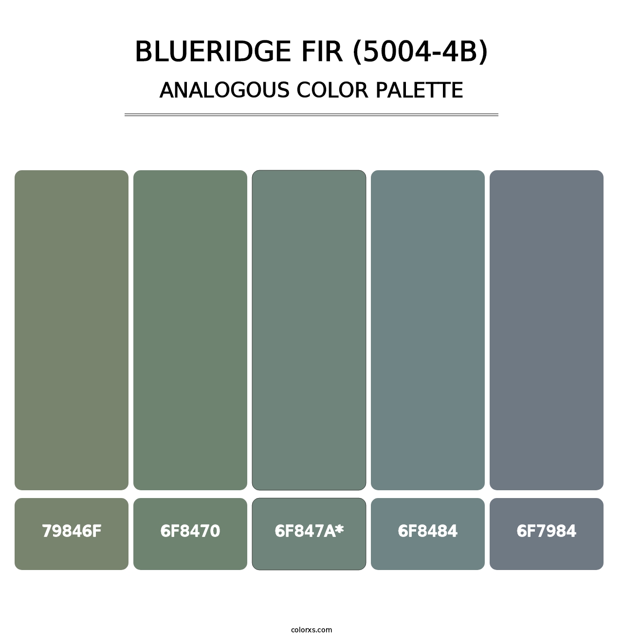 Blueridge Fir (5004-4B) - Analogous Color Palette