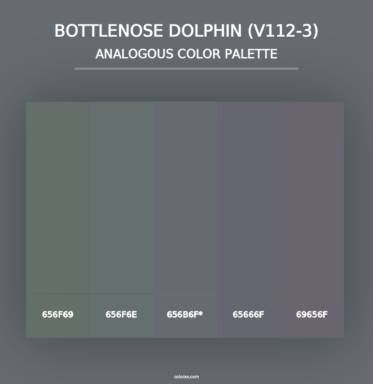 Bottlenose Dolphin (V112-3) - Analogous Color Palette