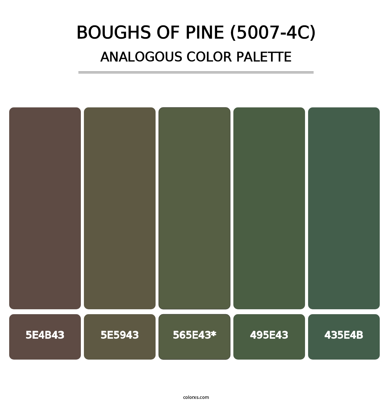 Boughs of Pine (5007-4C) - Analogous Color Palette