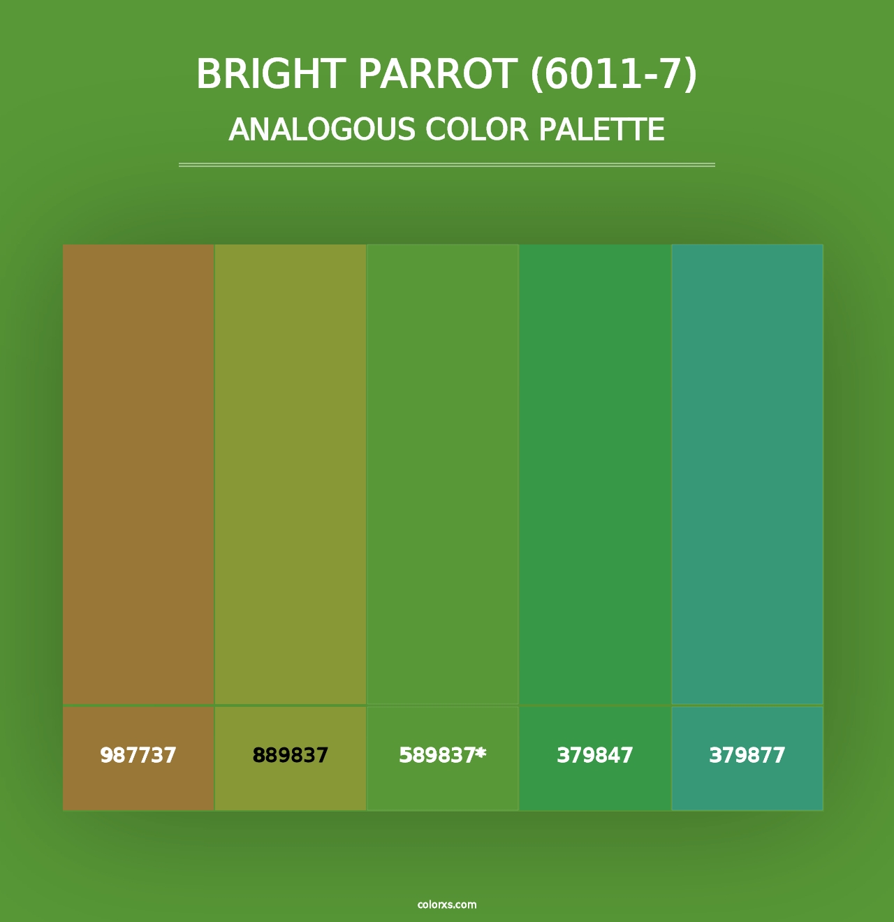 Bright Parrot (6011-7) - Analogous Color Palette