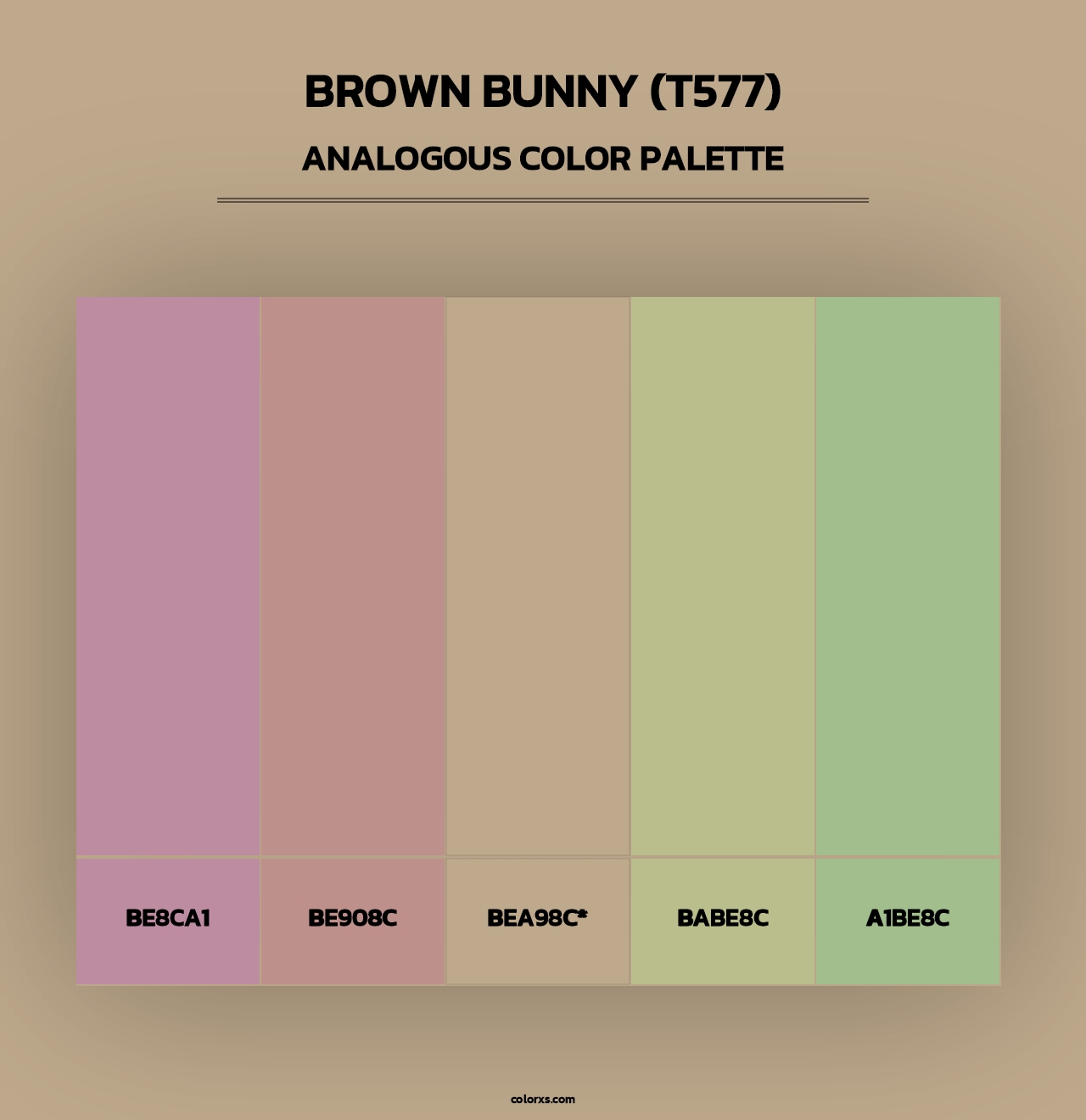 Brown Bunny (T577) - Analogous Color Palette