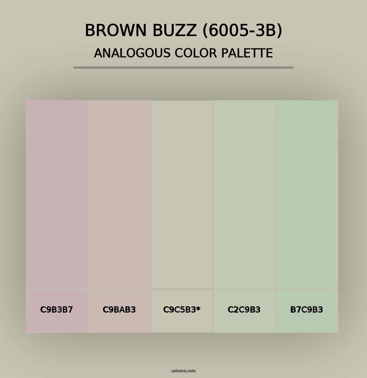 Brown Buzz (6005-3B) - Analogous Color Palette