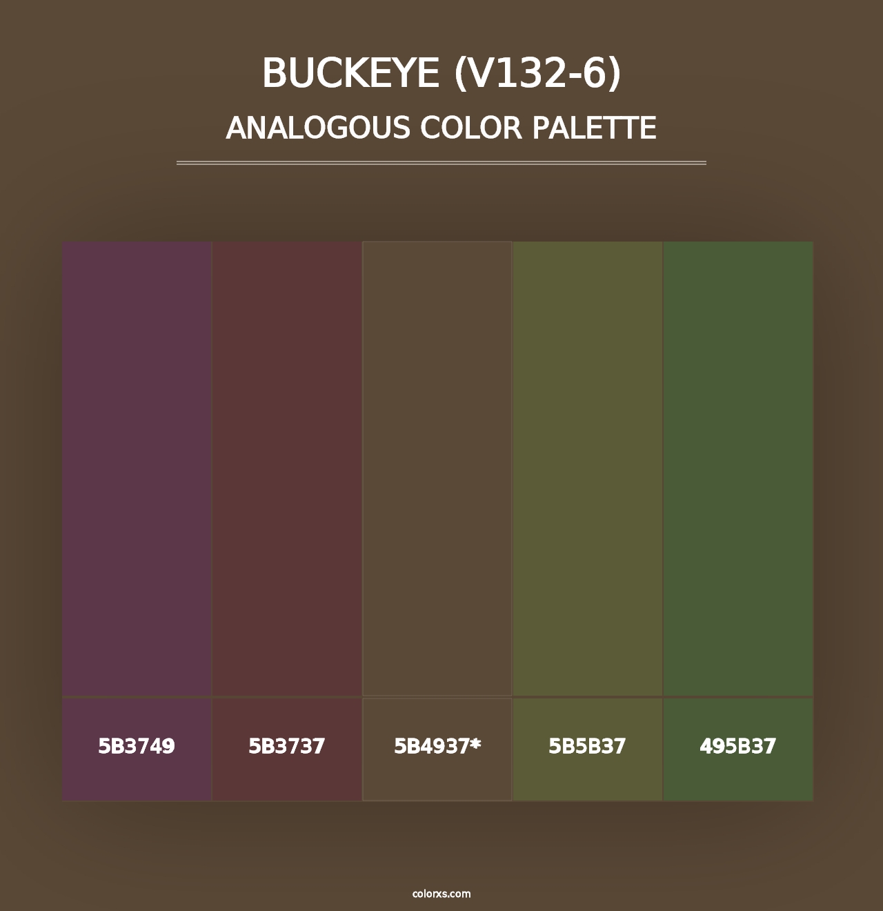 Buckeye (V132-6) - Analogous Color Palette