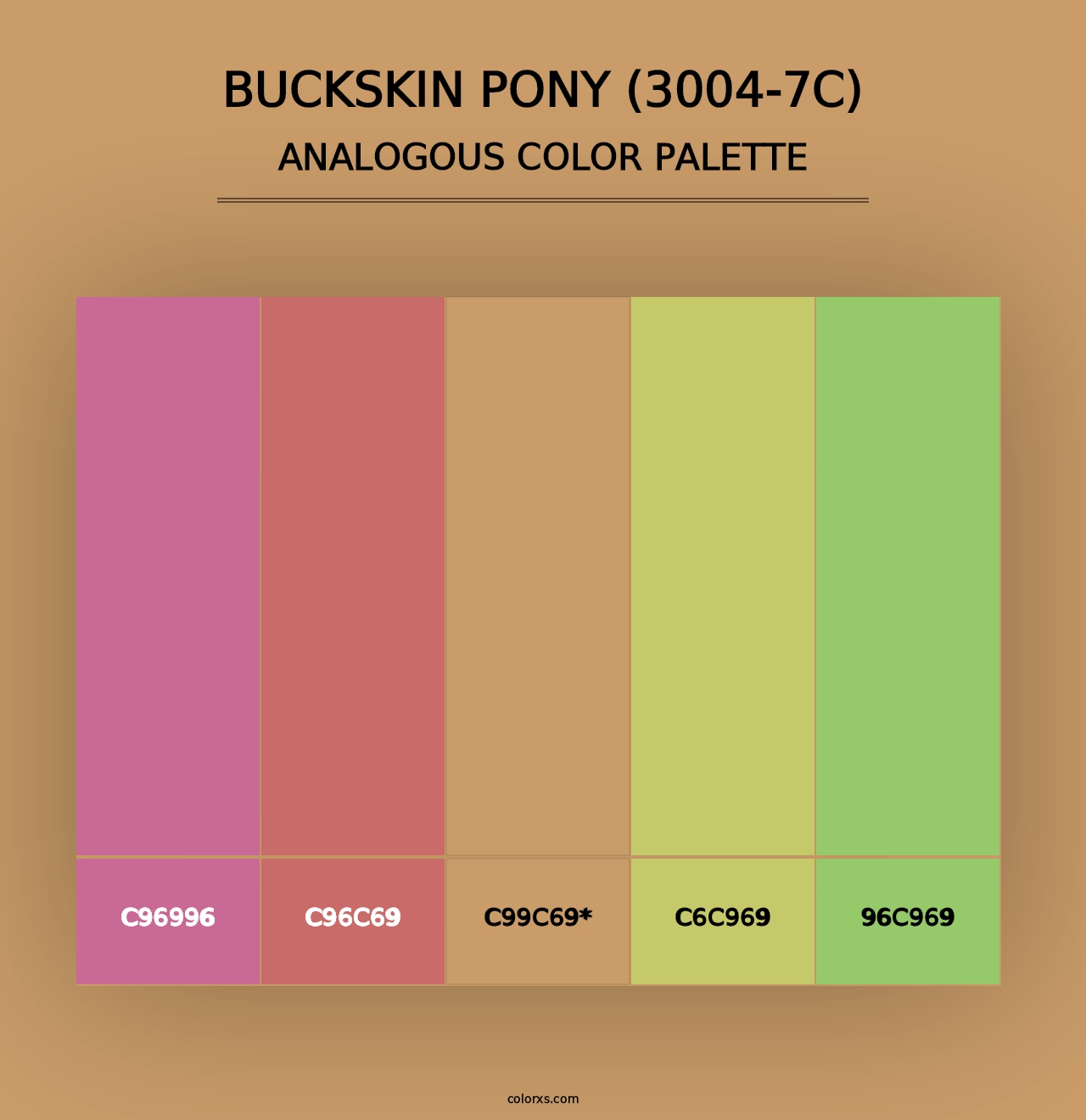 Buckskin Pony (3004-7C) - Analogous Color Palette