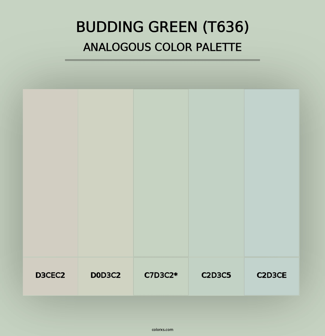 Budding Green (T636) - Analogous Color Palette