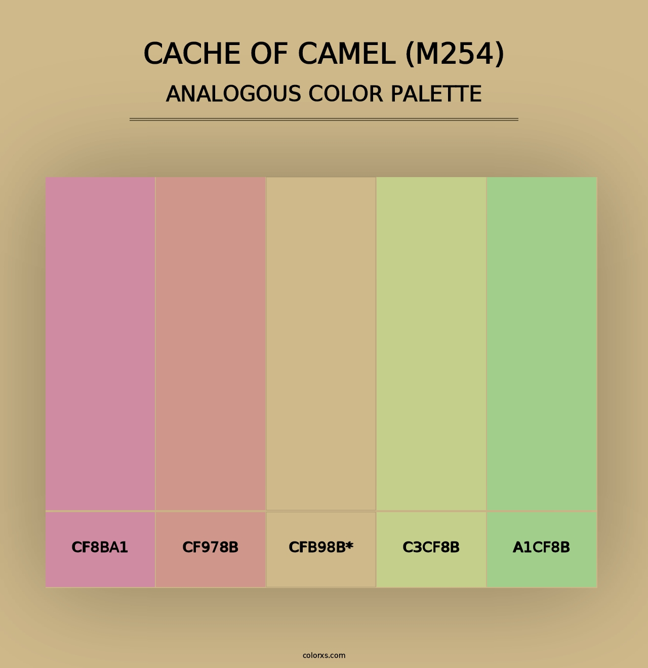 Cache of Camel (M254) - Analogous Color Palette