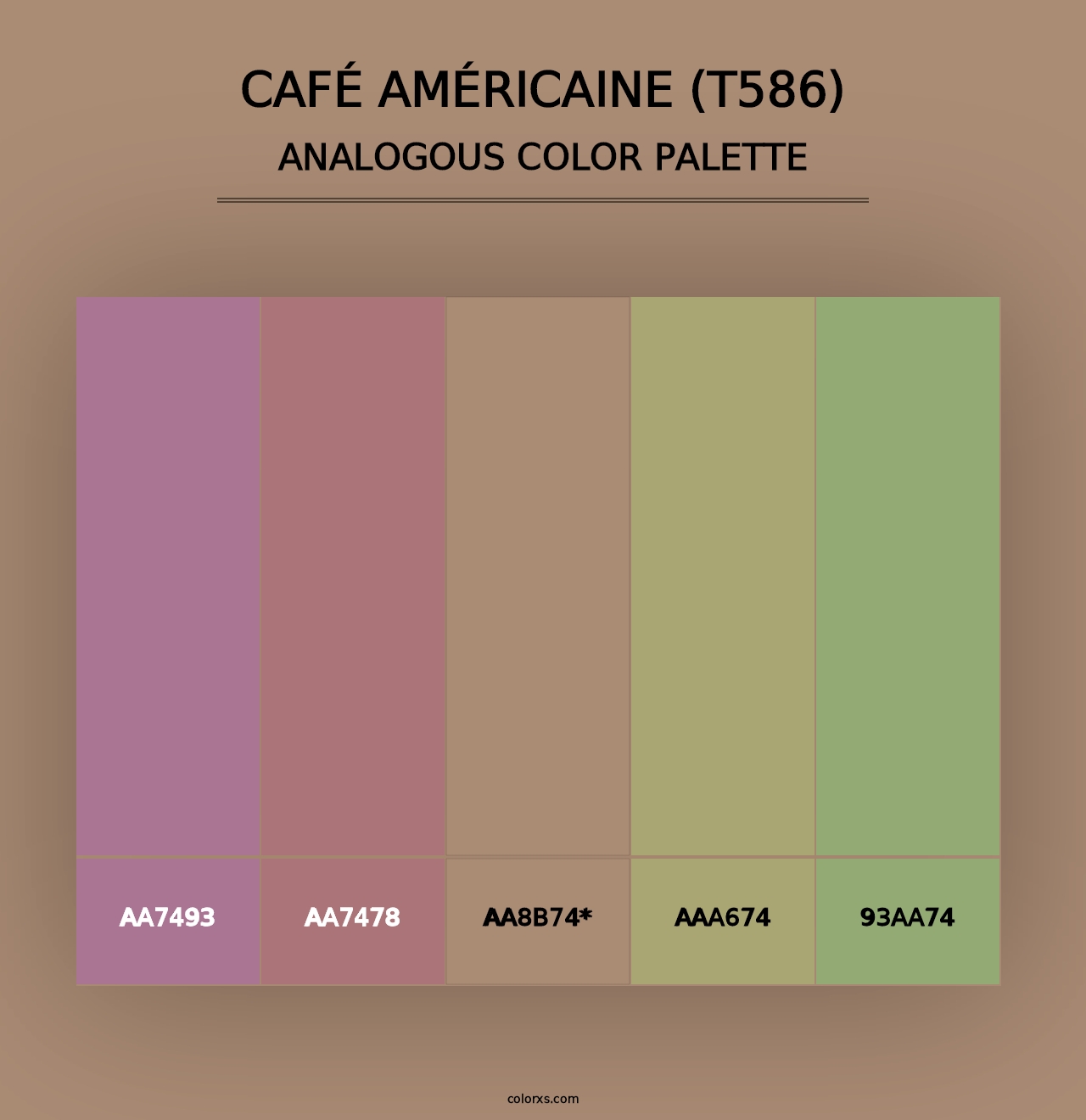 Café Américaine (T586) - Analogous Color Palette