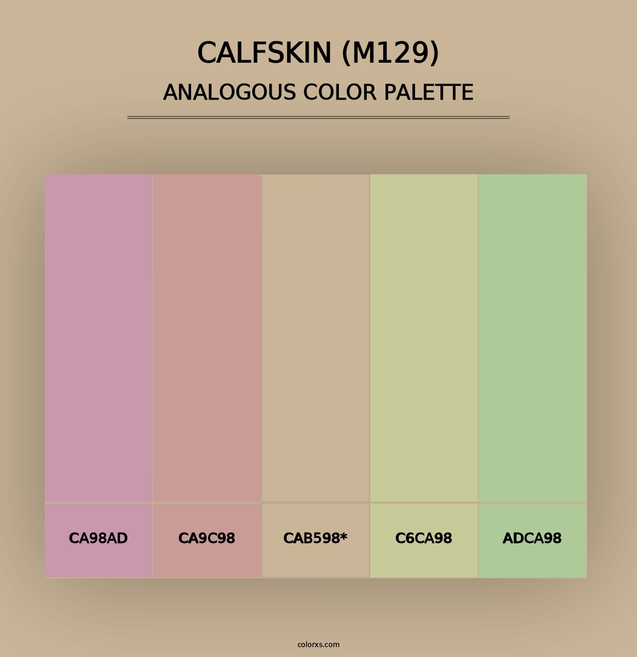 Calfskin (M129) - Analogous Color Palette