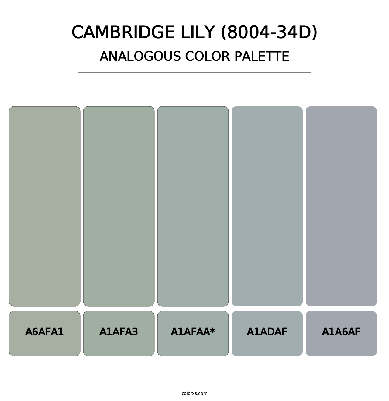 Cambridge Lily (8004-34D) - Analogous Color Palette