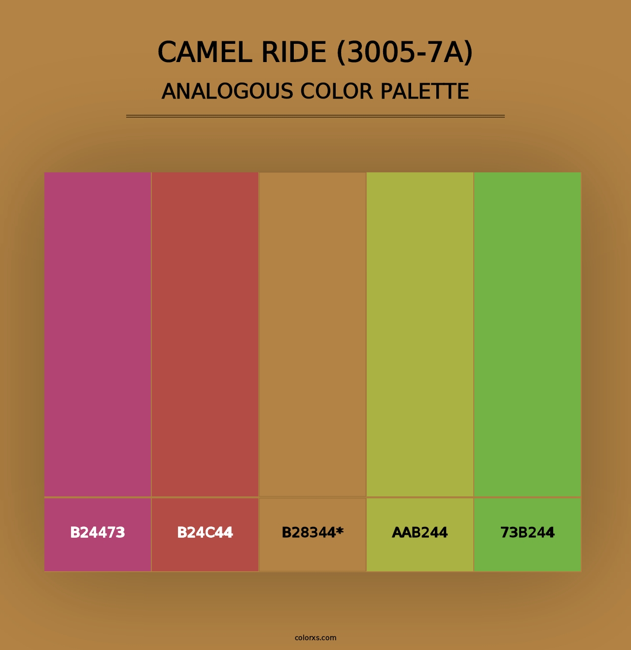 Camel Ride (3005-7A) - Analogous Color Palette