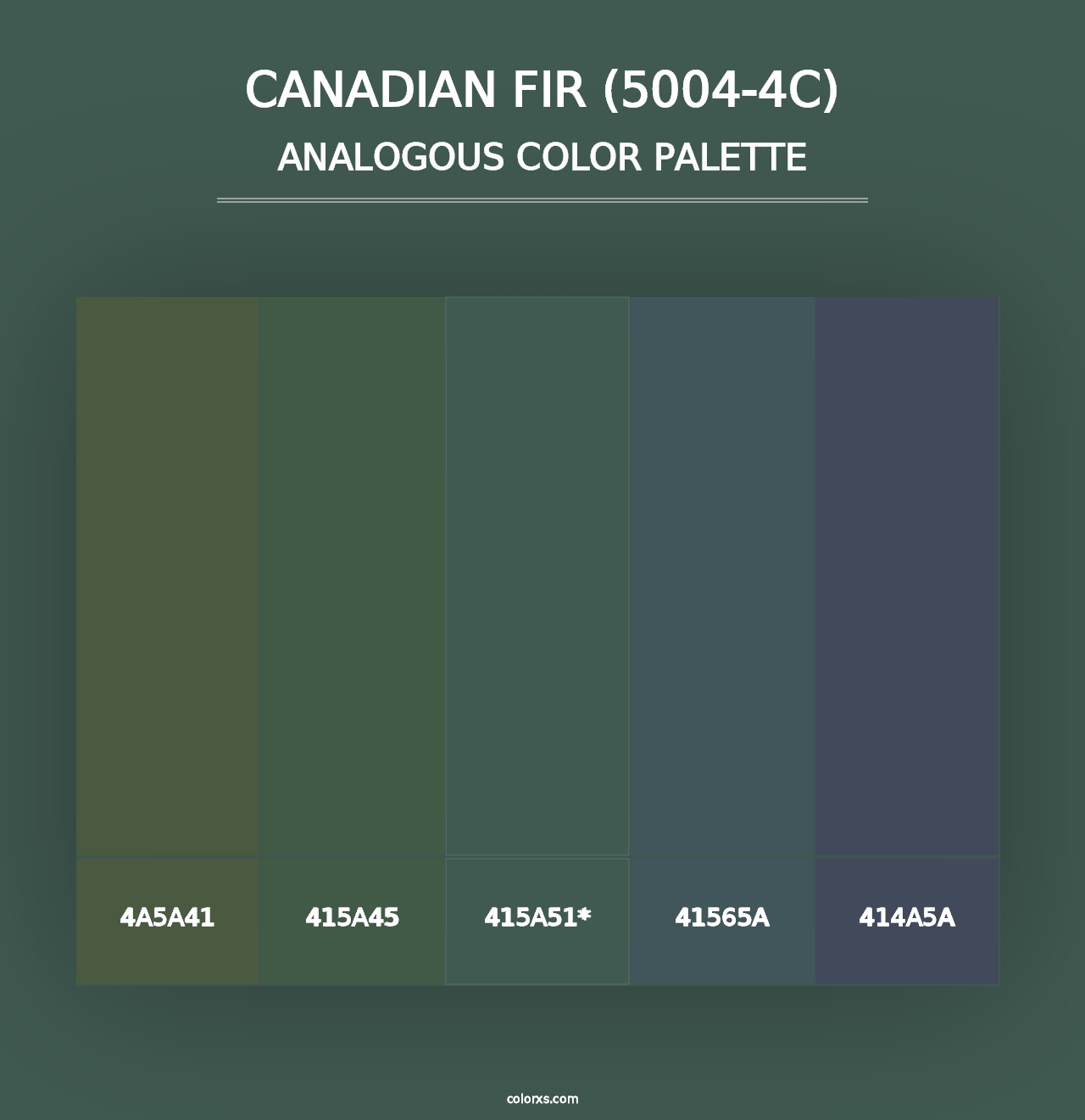 Canadian Fir (5004-4C) - Analogous Color Palette