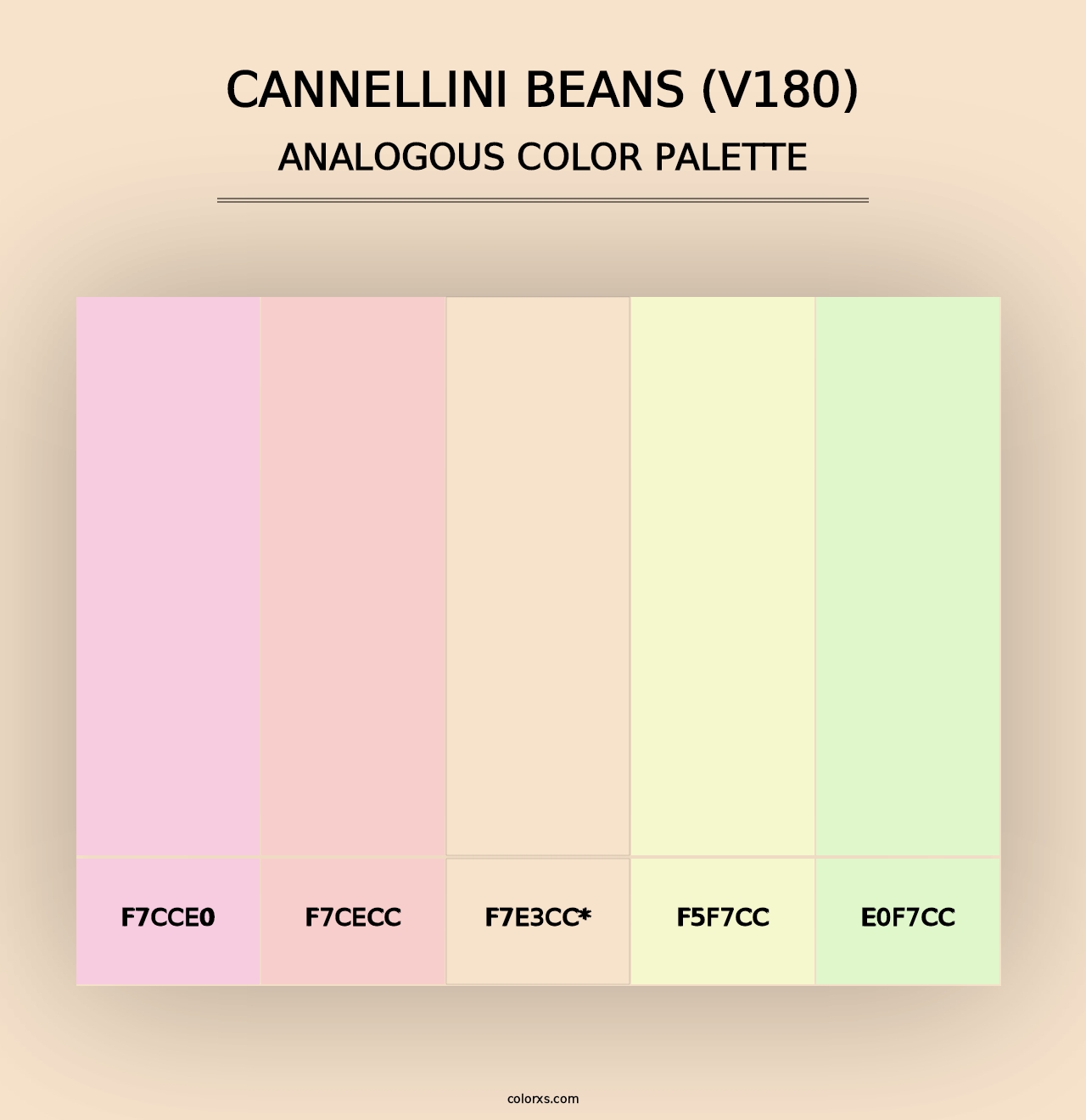 Cannellini Beans (V180) - Analogous Color Palette